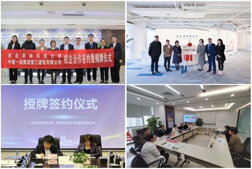 人文社會(huì)發(fā)展學(xué)院人力資源服務(wù) 融合人文關(guān)懷與專業(yè)管理的創(chuàng)新實(shí)踐